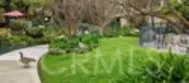 4900 E Chapman Avenue #90 thumbnail 41
