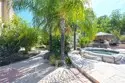 26784 Lemon Grass thumbnail 50