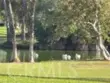 12 Lago Norte thumbnail 1
