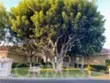 28938 Paseo Caravella thumbnail 29