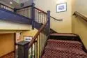 702 Ash Street #300 thumbnail 35