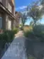 21245 Camelia #27 thumbnail 18