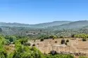 23505 Carancho Road thumbnail 71