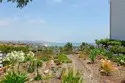 33611 Dana Vista Drive #31 thumbnail 23