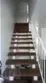 16741 Parthenia #3 thumbnail 5