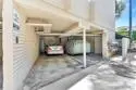 1155 Star Park Circle #1B thumbnail 42