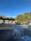 21245 Camelia #27 thumbnail 24