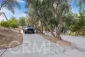 42761 Juniper thumbnail 50