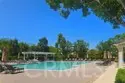 38931 Huddlestone Court thumbnail 25