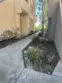 21245 Camelia #27 thumbnail 20
