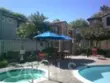 27959 Cactus #B thumbnail 29