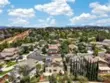 41211 Pine Tree thumbnail 6