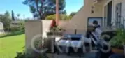 1437 Robin thumbnail 5