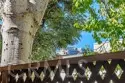 11687 Bellagio #12 thumbnail 5