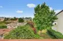 2263 Caminito Pajarito #184 thumbnail 32