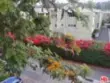 2311 Summertime Lane thumbnail 17