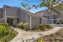 3787 Balboa Terrace #C thumbnail 2