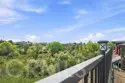 23682 Saratoga Springs thumbnail 49