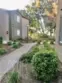 2612 Avenida Del Vista #203 thumbnail 1