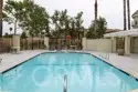 1800 E Lakeshore #1803 thumbnail 21