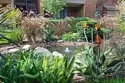33852 Del Obispo Street #9 thumbnail 38