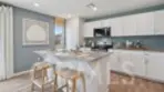 30932 Olas Court thumbnail 30