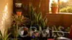 5349 Newcastle #34 thumbnail 24