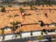 29412 Christiana Way thumbnail 49