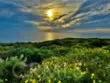 26972 Mill Pond Road #30 thumbnail 40