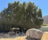 37525 E Benton Road thumbnail 1