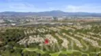 14 Tall Oak thumbnail 18