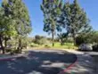 12737 Via Nasca thumbnail 29