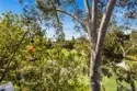 9 Canyon Island Drive thumbnail 7