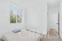 2402 Cascalote Loop thumbnail 28