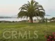 35394 Linda Rosea Road thumbnail 63