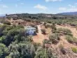 43500 Camino De Las Brisas thumbnail 66