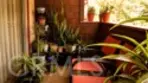 5349 Newcastle #34 thumbnail 23