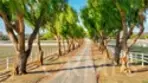 35325 De Portola Road thumbnail 7