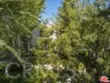 21901 Burbank #197 thumbnail 41