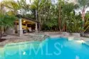 26843 Orchid Tree thumbnail 37