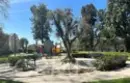 7651 Reseda #12 thumbnail 3