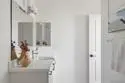 304 Ishaan Lane thumbnail 14