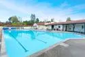 12437 Meandro Road thumbnail 24