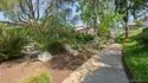 7806 Camino Tranquilo thumbnail 36