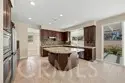 31538 Whitefield Court thumbnail 8