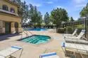 12510 Heatherton Court #195 thumbnail 28