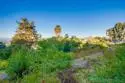 12566 Calle Tamega #108 thumbnail 56