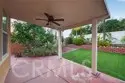 30780 Olympia Rose thumbnail 62