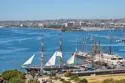 1388 Kettner Boulevard #1509 thumbnail 20