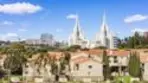 7405 Charmant Drive #2013 thumbnail 15
